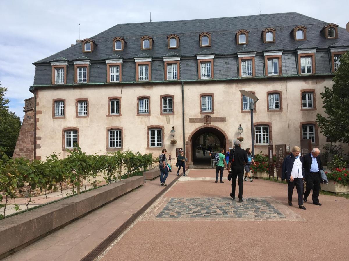 Maison Independante De Montagne En Alsace Bellefosse Exterior photo